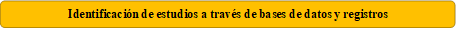 Identificación de estudios a través de bases de datos y registros